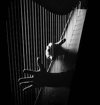 arpa-corso-musica-bologna